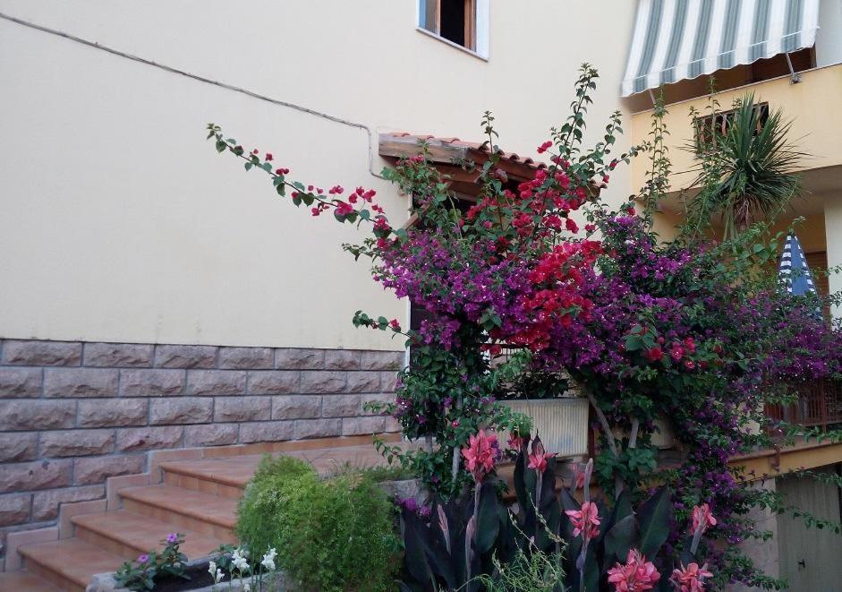 Al 32 Y 3 Bed & Breakfast Alghero Luaran gambar